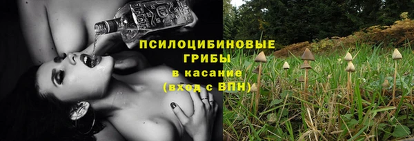 мескалин Михайловск