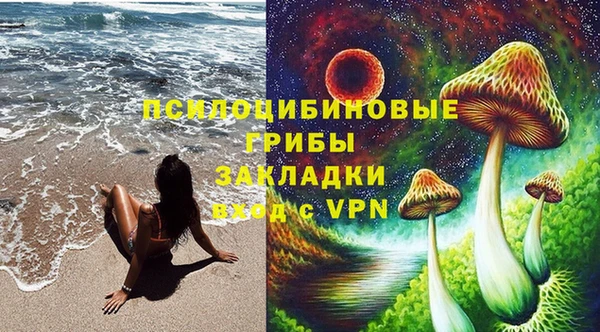 ешки Михайлов