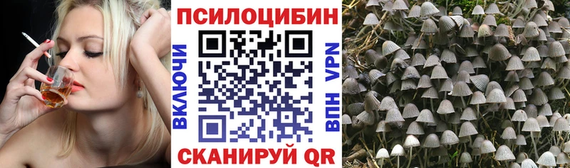 Псилоцибиновые грибы Magic Shrooms  Барнаул 